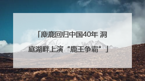 麋鹿回归中国40年 洞庭湖畔上演“鹿王争霸”