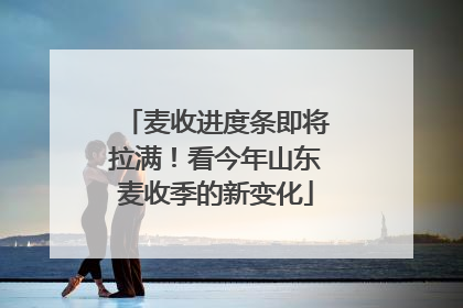 麦收进度条即将拉满！看今年山东麦收季的新变化