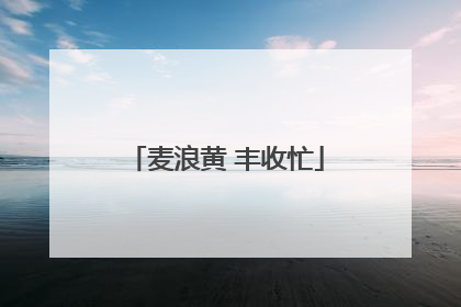 麦浪黄 丰收忙