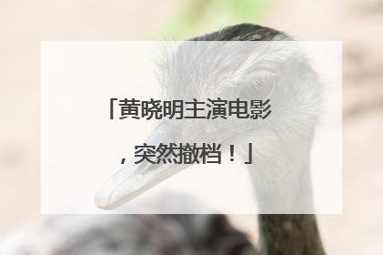 黄晓明主演电影，突然撤档！