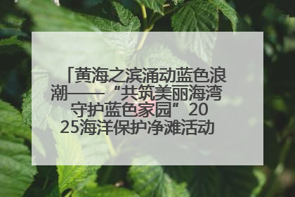 黄海之滨涌动蓝色浪潮——“共筑美丽海湾 守护蓝色家园”2025海洋保护净滩活动暨“美丽江苏—江河湖海青蓝行”海洋篇在连云港举行