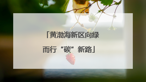 黄渤海新区向绿而行“碳”新路