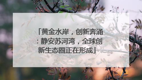 黄金水岸，创新奔涌：静安苏河湾，全球创新生态圈正在形成