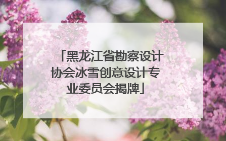 黑龙江省勘察设计协会冰雪创意设计专业委员会揭牌