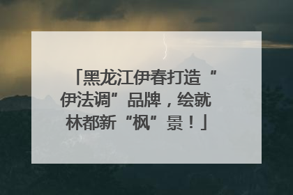 黑龙江伊春打造“伊法调”品牌，绘就林都新“枫”景！