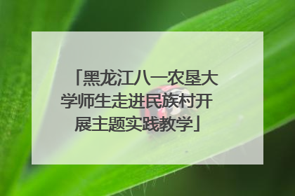 黑龙江八一农垦大学师生走进民族村开展主题实践教学