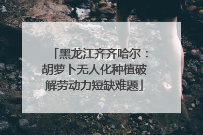 黑龙江齐齐哈尔：胡萝卜无人化种植破解劳动力短缺难题