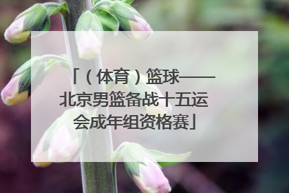 （体育）篮球——北京男篮备战十五运会成年组资格赛