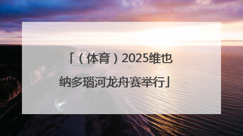 （体育）2025维也纳多瑙河龙舟赛举行