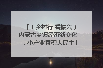 （乡村行·看振兴）内蒙古乡镇经济新变化：小产业累积大民生