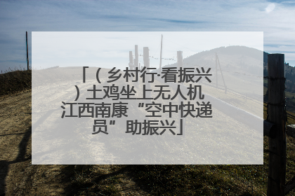 （乡村行·看振兴）土鸡坐上无人机 江西南康“空中快递员”助振兴