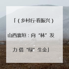 （乡村行·看振兴）山西襄垣：向“林”发力 借“绿”生金