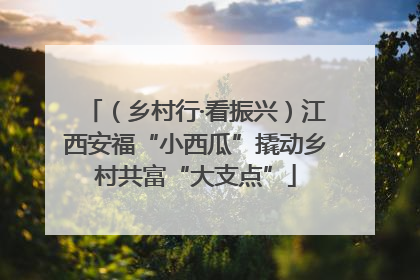 （乡村行·看振兴）江西安福“小西瓜”撬动乡村共富“大支点”