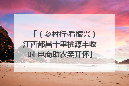 （乡村行·看振兴）江西都昌十里桃源丰收时 电商助农笑开怀