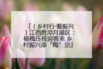 （乡村行·看振兴）江西鹰潭月湖区：杨梅压枝迎客来 乡村振兴添“梅”景