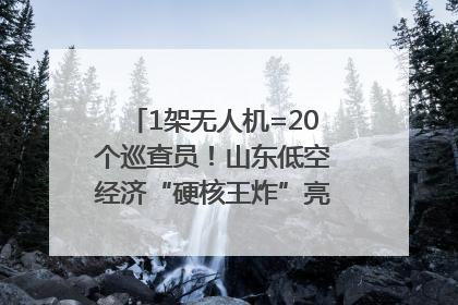 1架无人机=20个巡查员！山东低空经济“硬核王炸”亮相青岛，下一个万亿赛道藏在这里