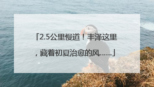 2.5公里慢道！丰泽这里，藏着初夏治愈的风……