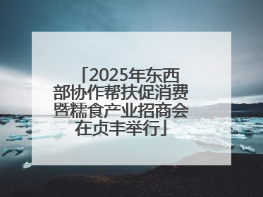 2025年东西部协作帮扶促消费暨糯食产业招商会在贞丰举行