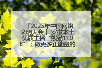 2025年中国网络文明大会丨 安徽本土优质主播“熊猫1108”：做更多正能量的事情 带给大家快乐