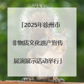 2025年徐州市非物质文化遗产宣传展演展示活动举行