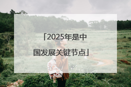 2025年是中国发展关键节点