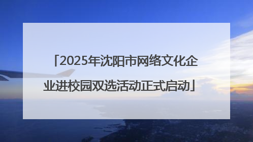 2025年沈阳市网络文化企业进校园双选活动正式启动