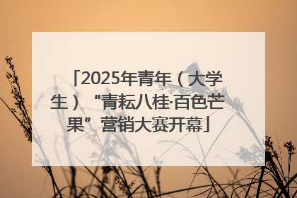 2025年青年（大学生）“青耘八桂·百色芒果”营销大赛开幕