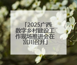 2025广西数字乡村建设工作现场推进会在富川召开