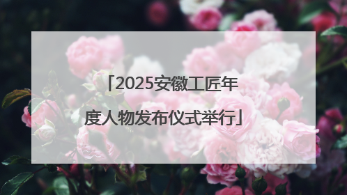 2025安徽工匠年度人物发布仪式举行