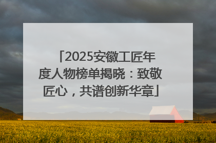 2025安徽工匠年度人物榜单揭晓：致敬匠心，共谱创新华章