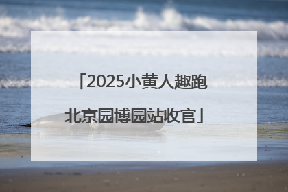 2025小黄人趣跑北京园博园站收官