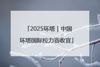2025环塔｜中国环塔国际拉力赛收官