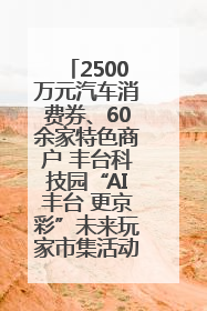 2500万元汽车消费券、60余家特色商户 丰台科技园“AI丰台 更京彩”未来玩家市集活动正式开幕