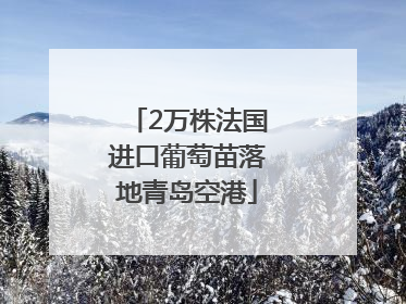 2万株法国进口葡萄苗落地青岛空港