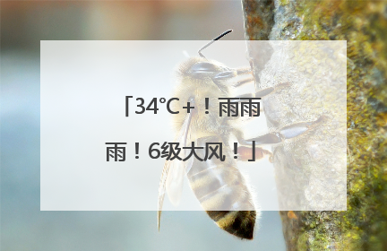 34℃+！雨雨雨！6级大风！