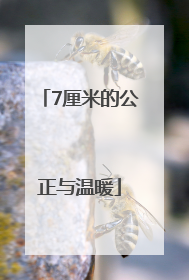 7厘米的公正与温暖
