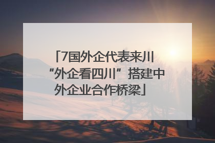7国外企代表来川 “外企看四川”搭建中外企业合作桥梁
