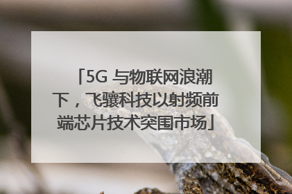 5G 与物联网浪潮下，飞骧科技以射频前端芯片技术突围市场
