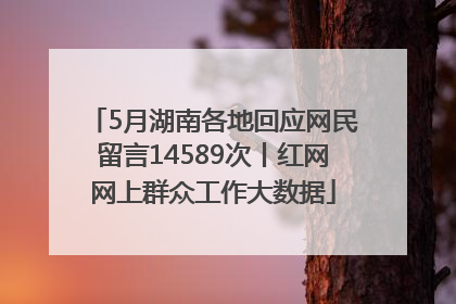 5月湖南各地回应网民留言14589次丨红网网上群众工作大数据