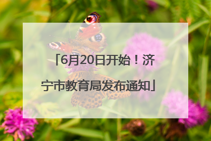 6月20日开始！济宁市教育局发布通知