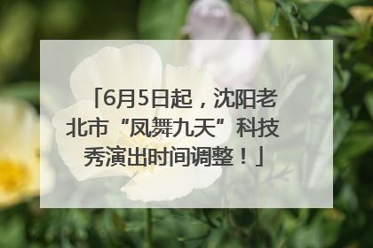 6月5日起，沈阳老北市“凤舞九天”科技秀演出时间调整！