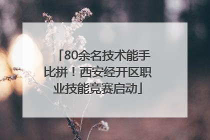 80余名技术能手比拼！西安经开区职业技能竞赛启动