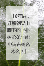 8年后，迁移到吴山脚下的“朴树弟弟”能申请古树名木么？