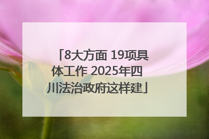 8大方面 19项具体工作 2025年四川法治政府这样建