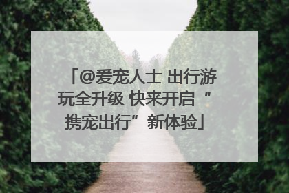 @爱宠人士 出行游玩全升级 快来开启“携宠出行”新体验