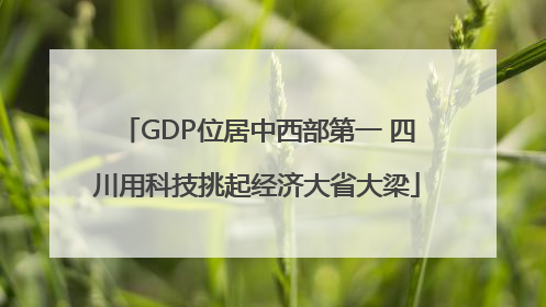 GDP位居中西部第一 四川用科技挑起经济大省大梁