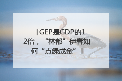 GEP是GDP的12倍，“林都”伊春如何“点绿成金”