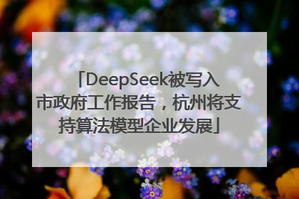 DeepSeek被写入市政府工作报告，杭州将支持算法模型企业发展