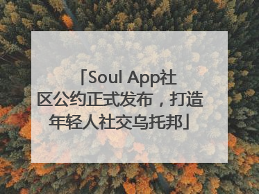 Soul App社区公约正式发布，打造年轻人社交乌托邦