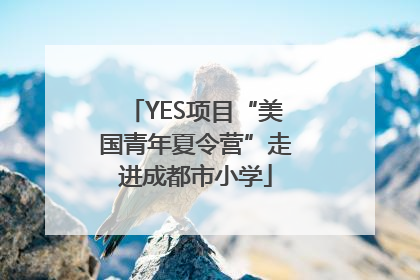 YES项目“美国青年夏令营”走进成都市小学